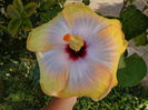 DSC00914