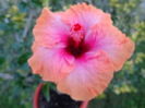 DSC00915