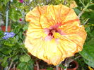 DSC00957