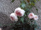 DSC07057