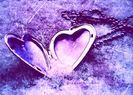 Iubire violet..I love you