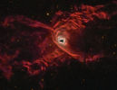 redspider_milovic_960