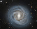 ngc4921_colombari_960