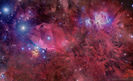 orion_colombari_1080c