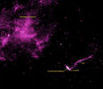 igrj11014_xray_label