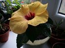 20151007_152031