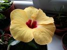 20151007_151910