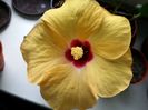 20151007_152121