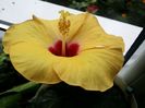 20151007_152223