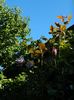 DSCN0159