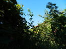DSCN0162