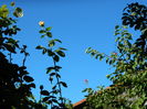DSCN0167