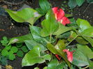 DSCN0169