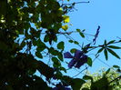 DSCN0178