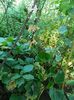 DSCN0179