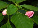 DSCN0185