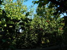 DSCN0189