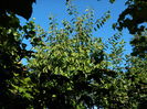 DSCN0191