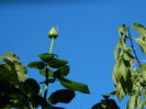 DSCN0192