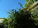 DSCN0202