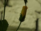 DSCN0205