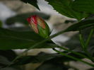 DSCN0206