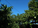 DSCN0226
