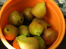 DSCN0230