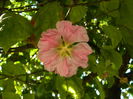 DSCN0240