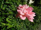 DSCN0250