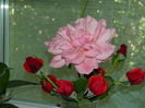 DSCN0256