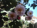 DSC06898
