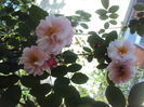 DSC06901