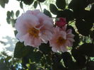 DSC06902
