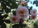 DSC06906