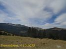 tx 044 transalpina  04102015