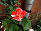 IMG_20151002_130056