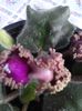 20151005_155342