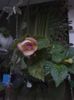20151005_180243