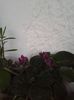 20151005_180324