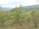 DSC00956