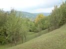 DSC00959