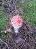 IMG_20151007_170554