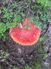 IMG_20151007_165825