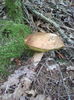 IMG_20151007_165747