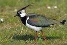20090420-b_542