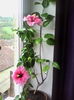 IMG_20151009_105728