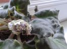 20151008_143046