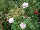 SAM_9795
