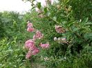 SAM_9843